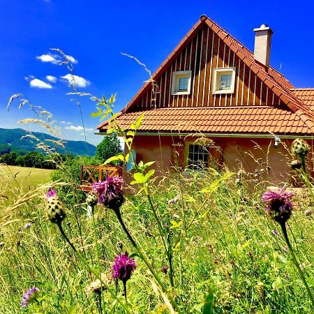 Kopanicky Dvor Hostal Hodruša Exterior foto