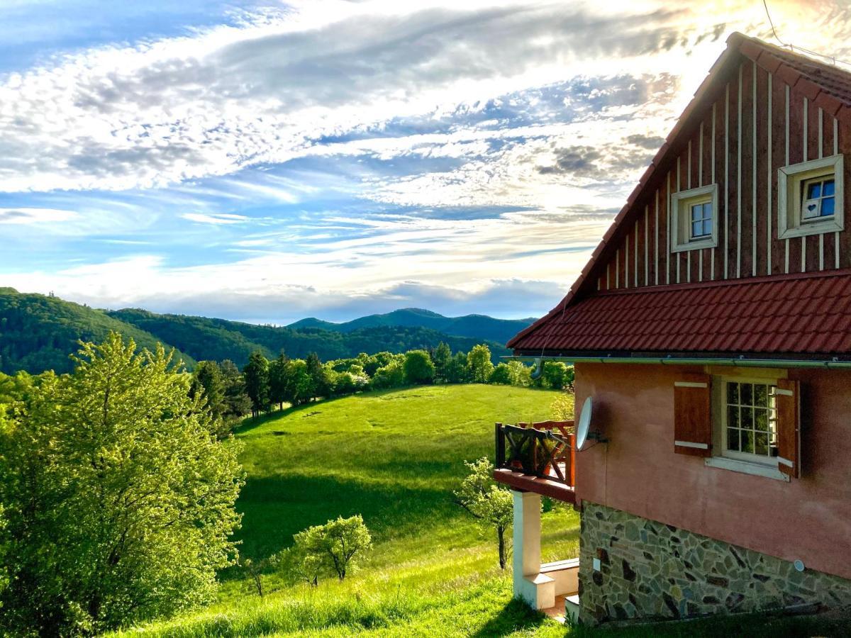 Kopanicky Dvor Hostal Hodruša Exterior foto