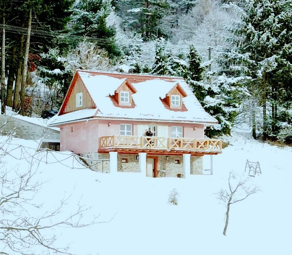 Kopanicky Dvor Hostal Hodruša Exterior foto