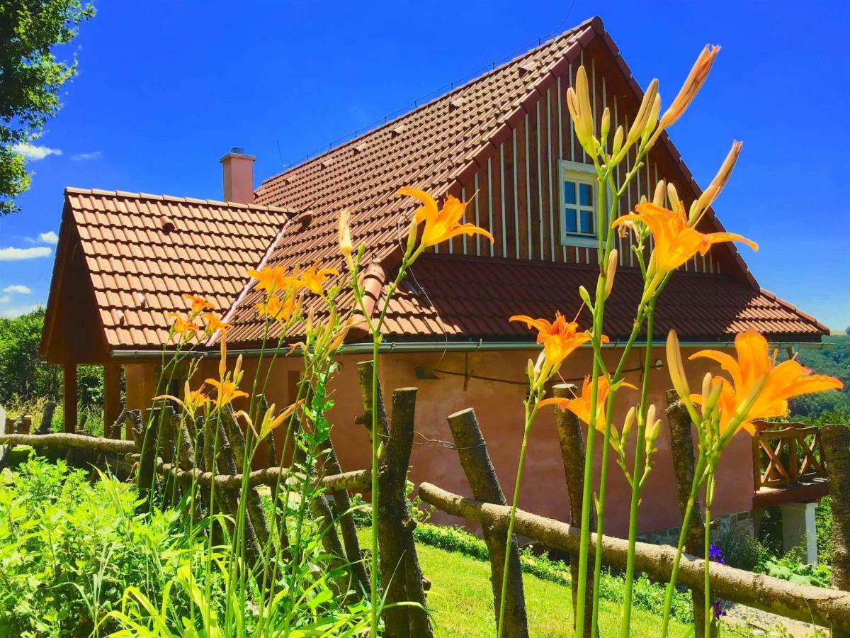 Kopanicky Dvor Hostal Hodruša Exterior foto