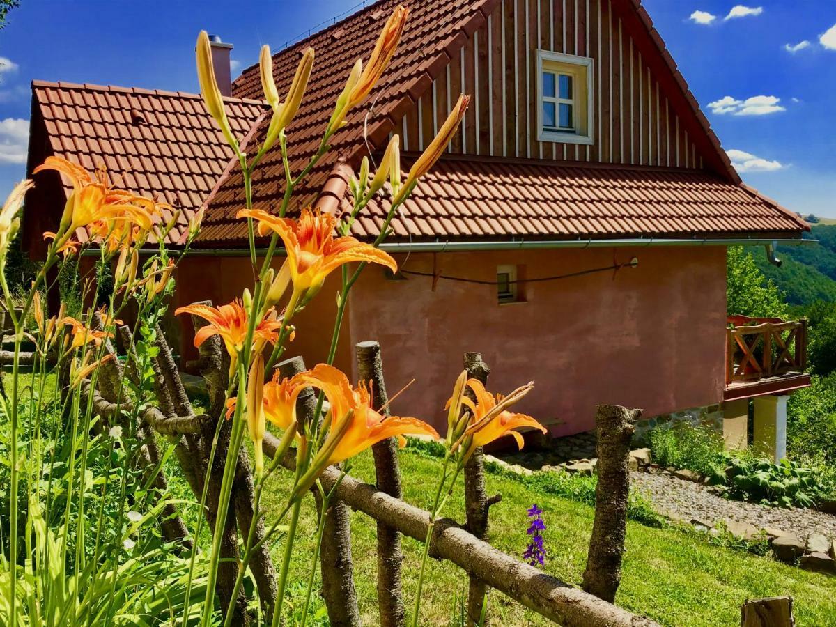 Kopanicky Dvor Hostal Hodruša Exterior foto